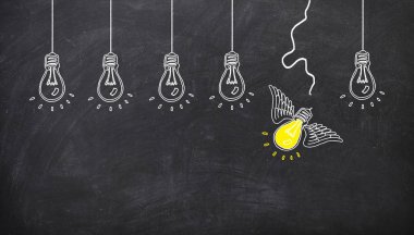 Pırlanta lamba ip ve sinek. ideo kavramı