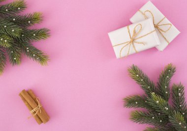 hediye kutusu ve çam dalı pembe arka plan. Noel kavramı