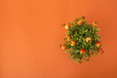 turuncu minyatür nar çiçeği turuncu zemin üzerine