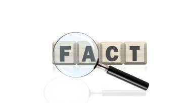 mangifier aslında kelime ve yakınlaştırma