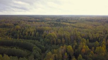 Sonbahar Ormanı yolu havadan görünüm