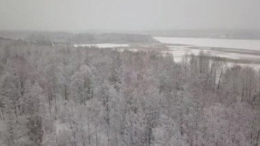 Karlı ormanın havadan quadcopter görünümü. Kar kaplı birçok ağaçlar.