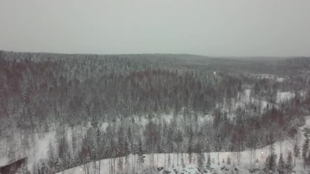 Flygfoto över snöiga skogen — Stockvideo