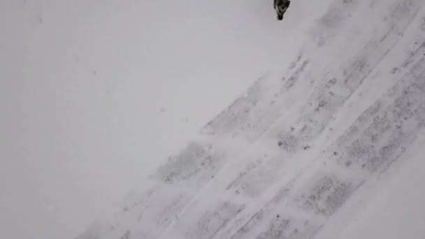 Hund skällande och extremt snabbt rinnande kasta flygande drönare, vinter. — Stockvideo