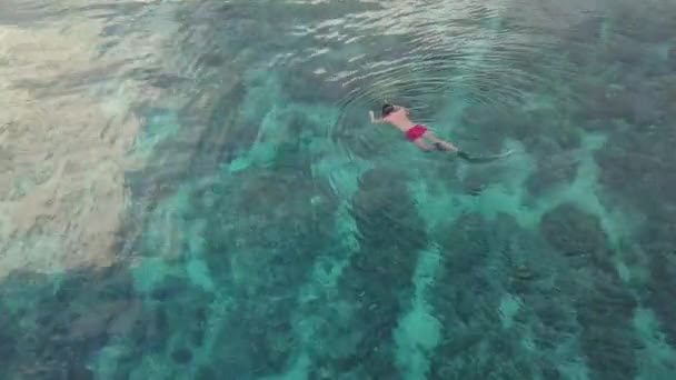 Snorkler swimming in blue ocean, aerial — Stock Video