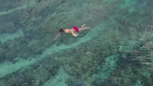 Mavi Turkuaz okyanus suda snorkler Yüzme — Stok video