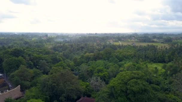 Parque natural en Bali Indonesia isla muñeca aérea en — Vídeo de stock