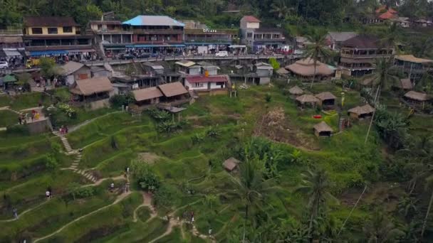 Drohnenaufnahme über Bali-Landschaften mit Terrassen Reisfeld. — Stockvideo