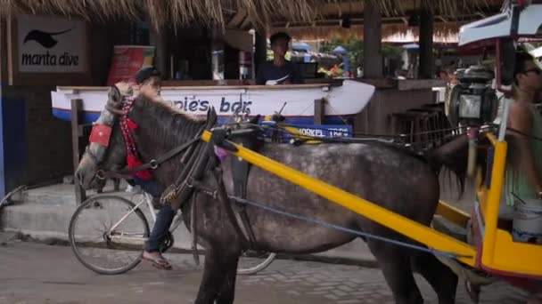 Chariot de taxi tiré par des chevaux sur une île tropicale — Video