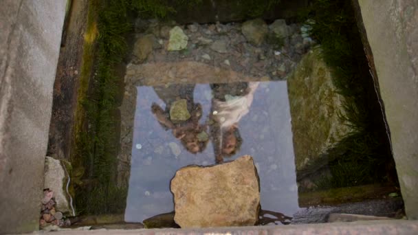 Pareja joven enamorada lanza una moneda en un pozo de agua en el parque — Vídeos de Stock