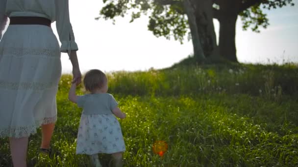 Porträtt av liten flicka som går över fältet med handen med sin mor i vit rustik klänning — Stockvideo