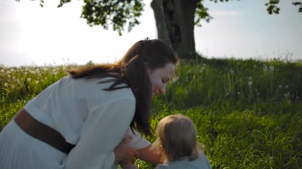 Молодая красивая мать берет маленькую дочь в руки и идет к старому дереву в поле — стоковое видео