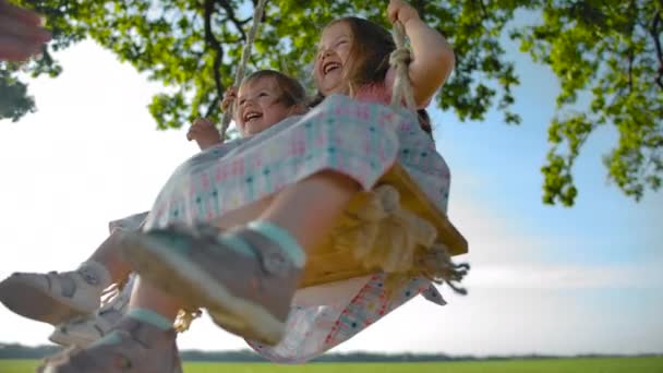 Zwei fröhlich glückliche schöne lächelnde Mädchen, die auf einer Schaukel schwingen — Stockvideo