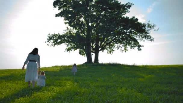 Mãe com filhas caminhar através do campo para a árvore . — Vídeo de Stock
