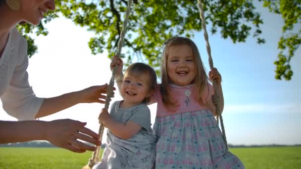 Twee kleine zusters, 1 en 3 jaar oud, zwaaien op een touwschommel gebonden aan een oude eiken boom in een veld — Stockvideo