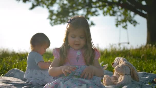 Two girls sitting on a picnic cover at the large green meadow — Stock Video