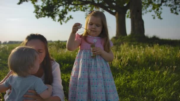 Little girl with brown hair in a dress blows soap bubbles on the nature. — Stock Video