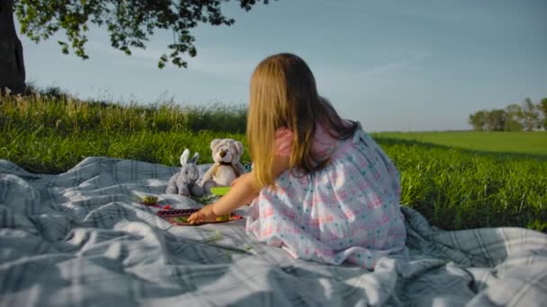 Klein meisje speelt met speelgoed gebruiksvoorwerpen en knuffels in de weide — Stockvideo