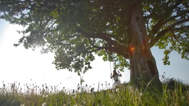 Genç bir kadın eski bir meşe ağacından asılı bir ip salıncak sürüyor — Stok video