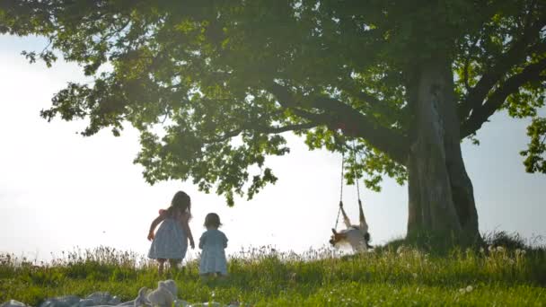 Två systrar kör över rena gröna fältet till sin mor, gungande på swing knuten till en gammal ek-träd. — Stockvideo