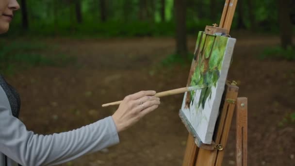 Vista lateral de una mujer pintando a mano un paisaje sobre lienzo en un parque — Vídeo de stock