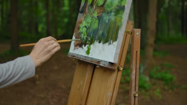 La mano de las niñas hace algunos trazos en los dibujos del paisaje en el bosque — Vídeo de stock