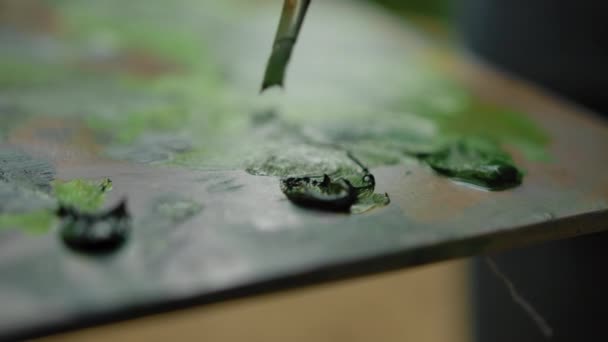 A paleta do pintor close-up — Vídeo de Stock