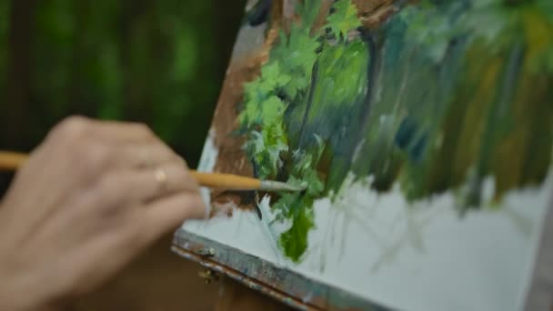 Young girls hand makes a few strokes on the landscape drawings in the forest — Stock Video