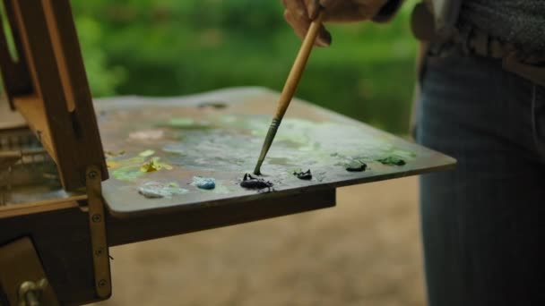 La palette de l'artiste féminine en plein air dans le parc — Video