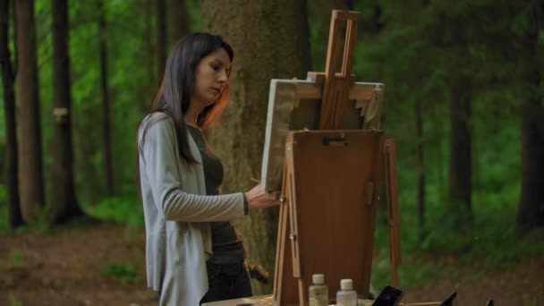 Vista lateral de una joven pintando un paisaje en un parque . — Vídeo de stock