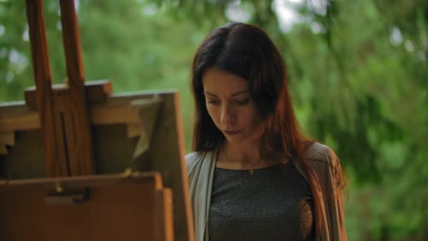 Portrait of young female painting a landscape on canvas at an easel. — Stockvideo