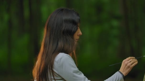 Mulher bonita desenhando uma paisagem sobre a natureza na floresta . — Vídeo de Stock