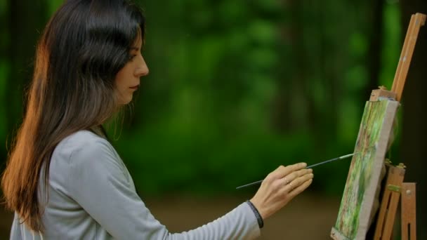 Ελκυστικό κορίτσι που ζωγραφίζει ένα τοπίο στη φύση στο δάσος. — Αρχείο Βίντεο