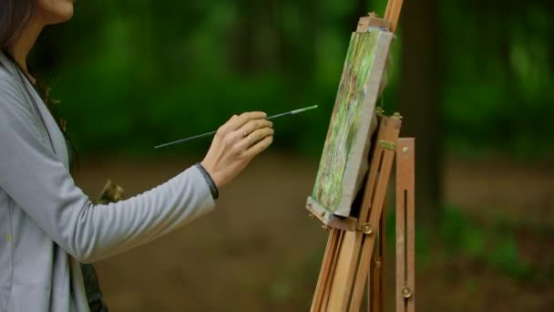 Красивая женщина рисует пейзаж на природе в лесу . — стоковое видео