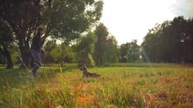 Genç bir kız, köpeğini parkta yemek yakalaması için eğitiyor..
