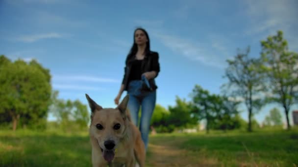 Ένα κορίτσι που οδηγεί το σκύλο της με προεξέχουσα γλώσσα σε ένα λουρί στο πάρκο. — Αρχείο Βίντεο