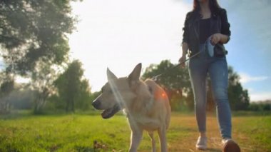Kot pantolonlu bir kadın köpeğine parkta tasma takıyor..