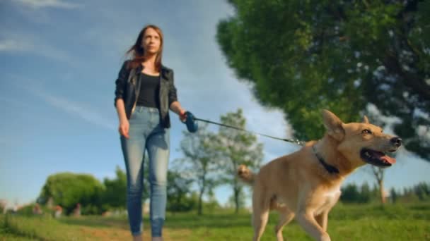 Kot pantolonlu çekici genç kadın köpeğini yürüyüşe çıkarıyor.. — Stok video