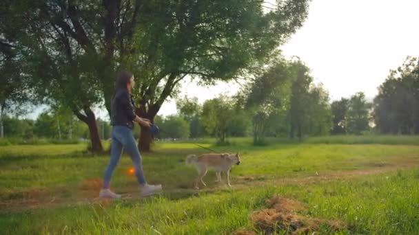 Ευρύ προφίλ ενός κοριτσιού, να οδηγεί ένα σκύλο με λουρί στο πάρκο.. — Αρχείο Βίντεο
