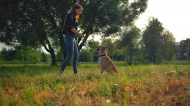 Genç bir kız köpeğini parkta eğitiyor..
