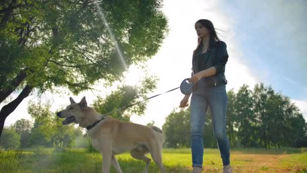 Wanita Kaukasia yang menarik dengan celana jeans memandu anjingnya berjalan-jalan di taman . — Stok Video