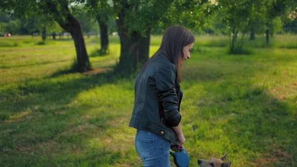 Een jong 20-jarig meisje leidt haar hond voor een wandeling in het park aan de leiband. — Stockvideo