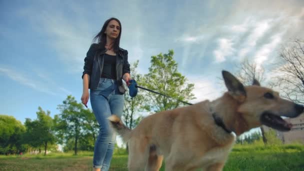 Güzel, uzun saçlı, kot pantolonlu genç bir kadın kızıl saçlı köpeğini yürüyüşe çıkarıyor.. — Stok video
