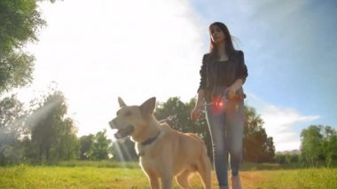 Kot pantolonlu çekici bayan köpeğini yürüyüşe çıkarıyor. Düşük açıyla ağır çekimde çekmek.