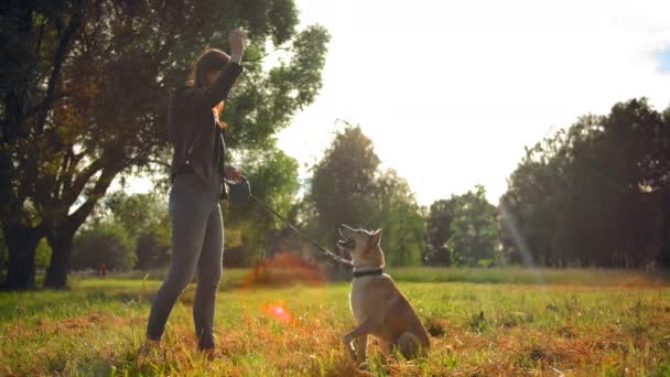Молодая девушка делает трюки со своей собакой в парке . — стоковое видео