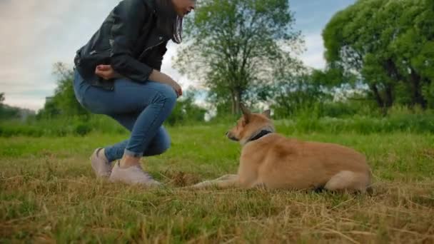 Žena učí svého domácího psa se zajímavými triky v parku. — Stock video