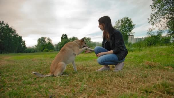 Güzel siyah saçlı kız köpeğinin parkında bir numara öğretiyor. Bana bir pençe ver. — Stok video