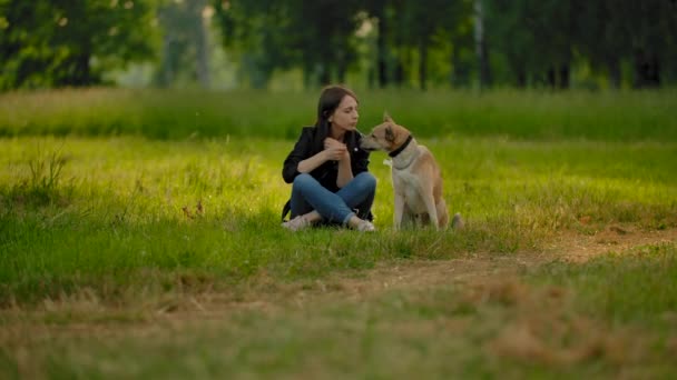 Una joven en un parque se comunica con su perro, acariciando la cabeza, arañazos detrás de la oreja . — Vídeos de Stock