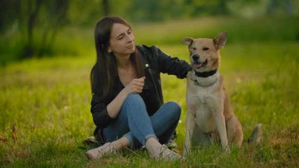 Menina, sentada na grama, acariciando seu cão . — Vídeo de Stock