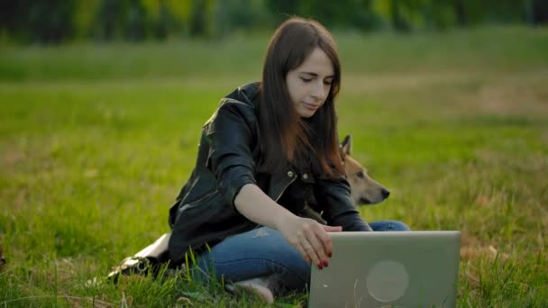 En frilanser åpner laptopen sin på jobb mens hun sitter på en eng ved siden av hunden sin. . – stockvideo